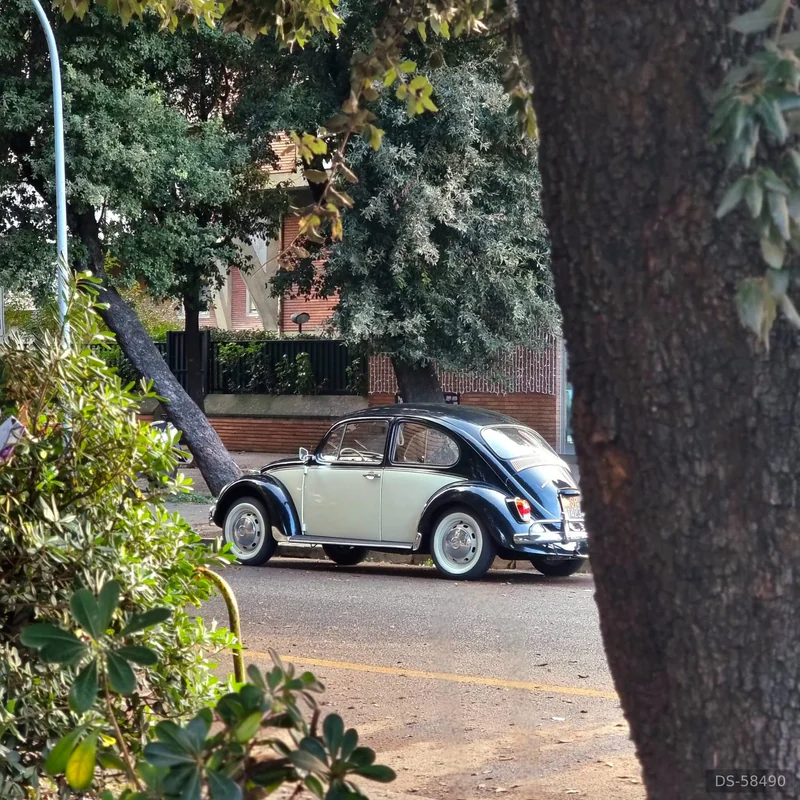 1967 Volkswagen Maggiolino 1967 in Roma 5