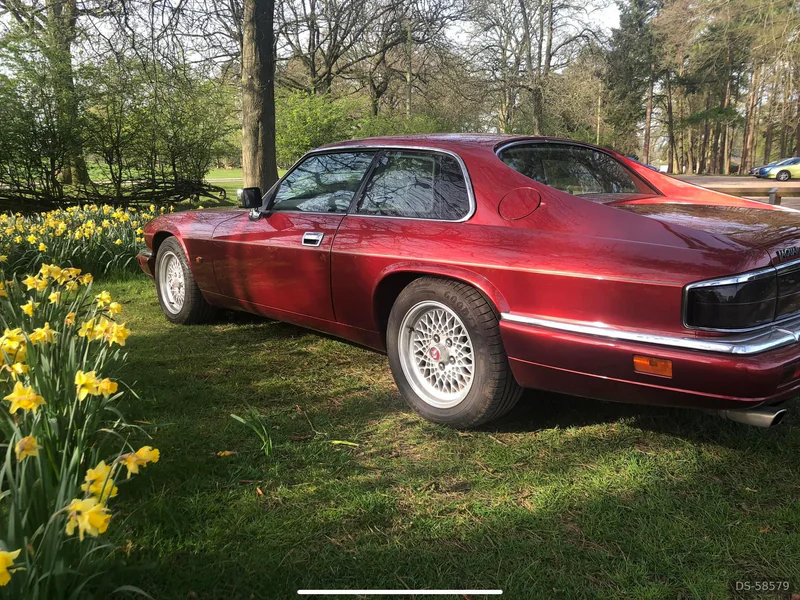 1983 Jaguar Xjs in Falkirk 3