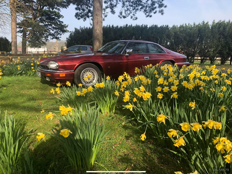 1983 Jaguar Xjs in Falkirk