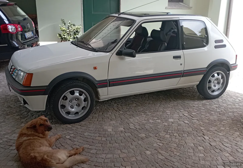 1990 Peugeot 205 Gti 1..9 in Momo 2