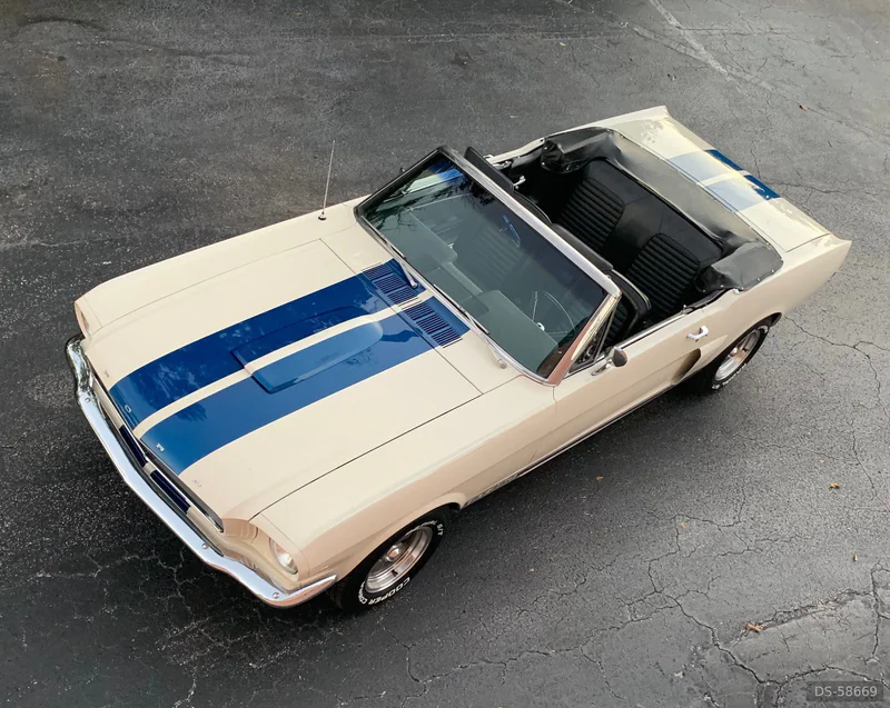 1967 Ford Mustang 289 in Castiglione Delle Stiviere 2
