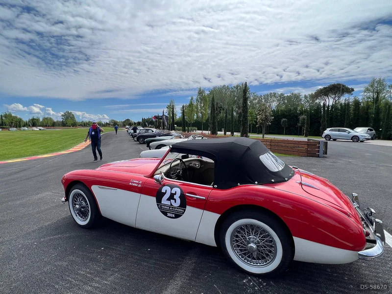 1959 Austin Healey 3000 Bt7 in Castiglione Delle Stiviere 3