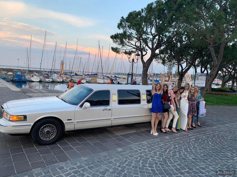 1997 Ford Lincoln Town Car Limousine in Castiglione Delle Stiviere 2