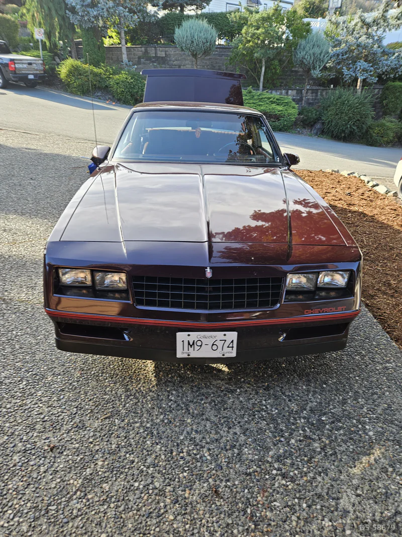 1988 Chevrolet Monte Carlo Ss in Abbotsford 3