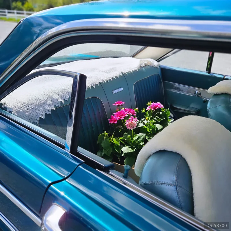 1964 Ford Falcon Futura in White Rock 5