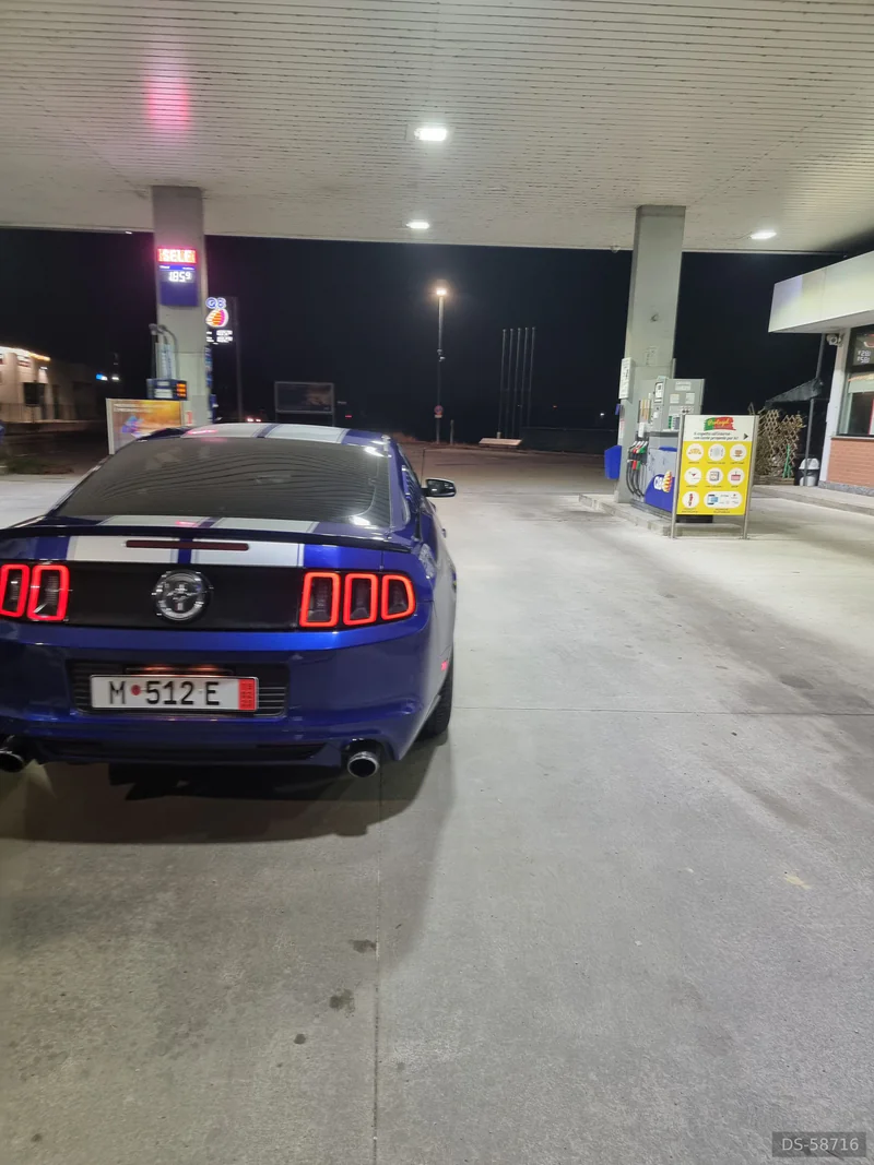 2013 Ford Mustang Shelby in Rivarolo Canavese 5