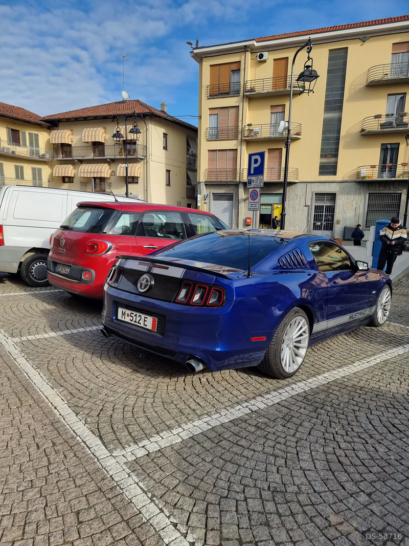 2013 Ford Mustang Shelby in Rivarolo Canavese 6