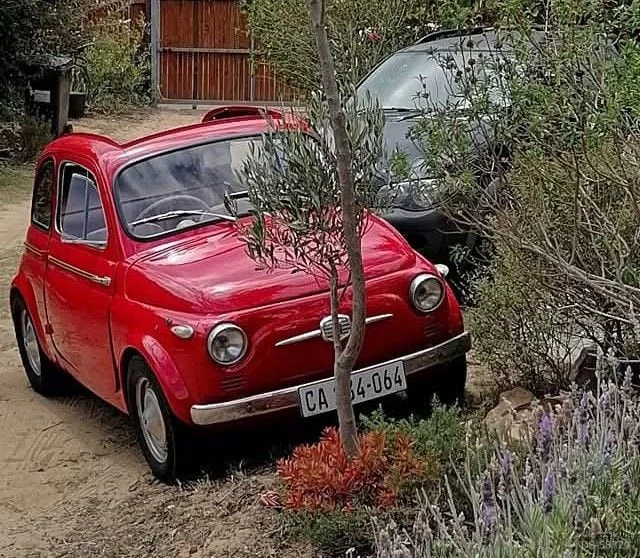 1958 Fiat 500 NuovaTransformable in Cape Town