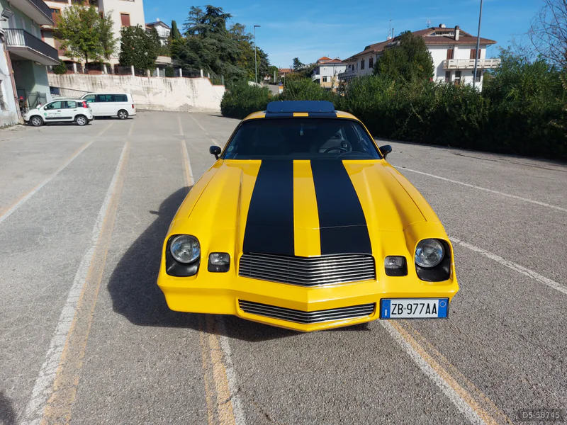 1980 Chevrolet Camaro z28 Bumblebee in Porto Sant'elpidio 2