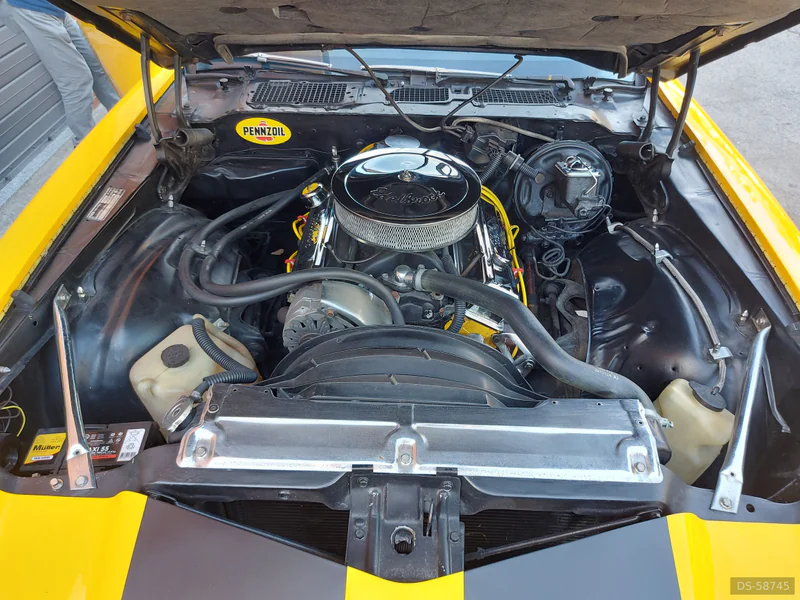 1980 Chevrolet Camaro z28 Bumblebee in Porto Sant'elpidio 11