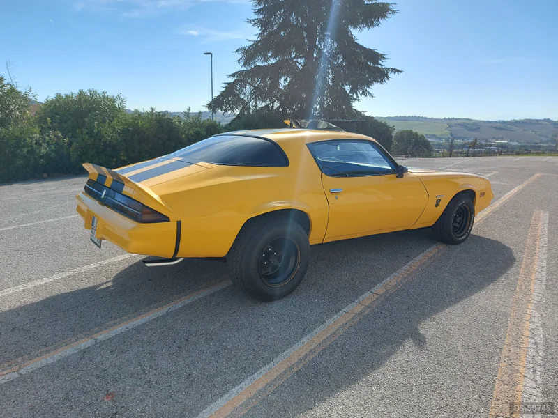1980 Chevrolet Camaro z28 Bumblebee in Porto Sant'elpidio 5