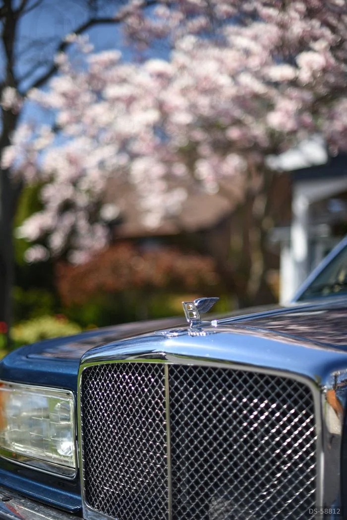 1986 Bentley Eight in Ottawa 2