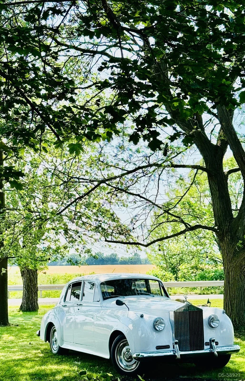 1961 Rolls-Royce Silver Cloud