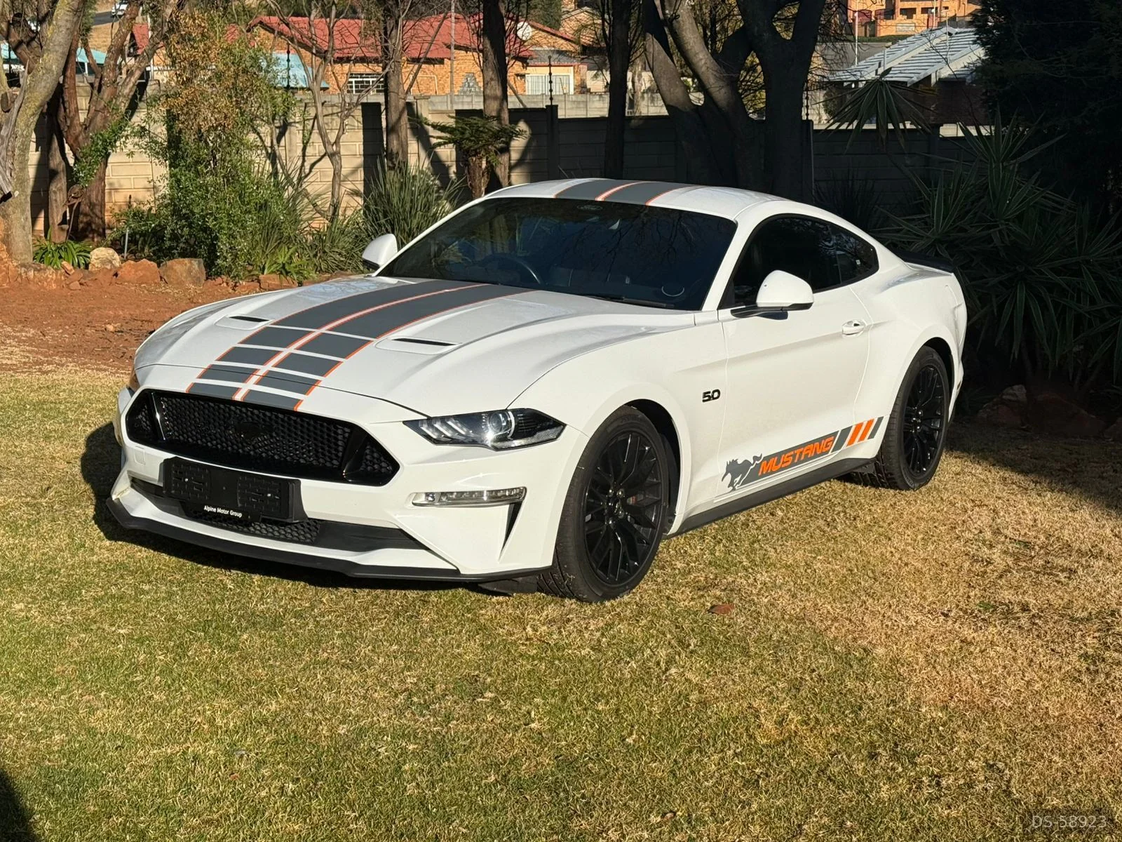 2019 Ford Mustang