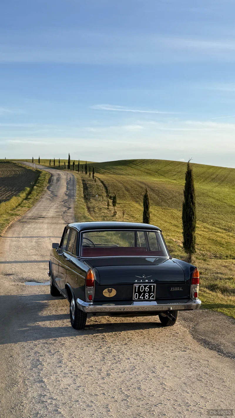1964 Fiat 1500 L in Siena 4
