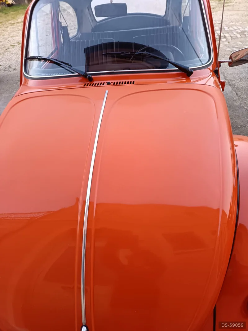 1972 Volkswagen Maggiolone in Monte Giberto