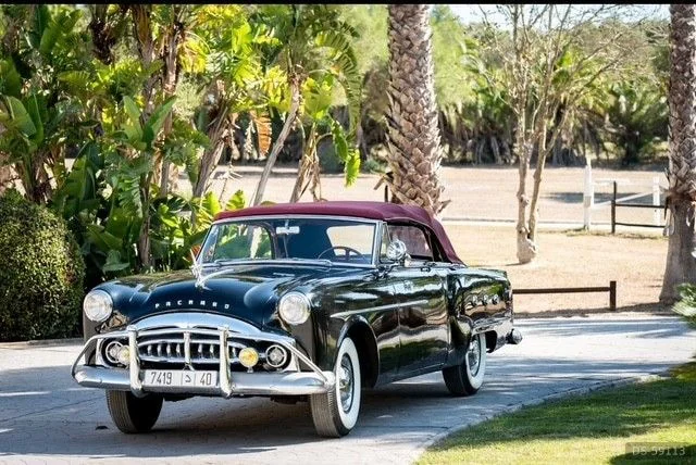1951 Packard Cabrio in Marbella 10