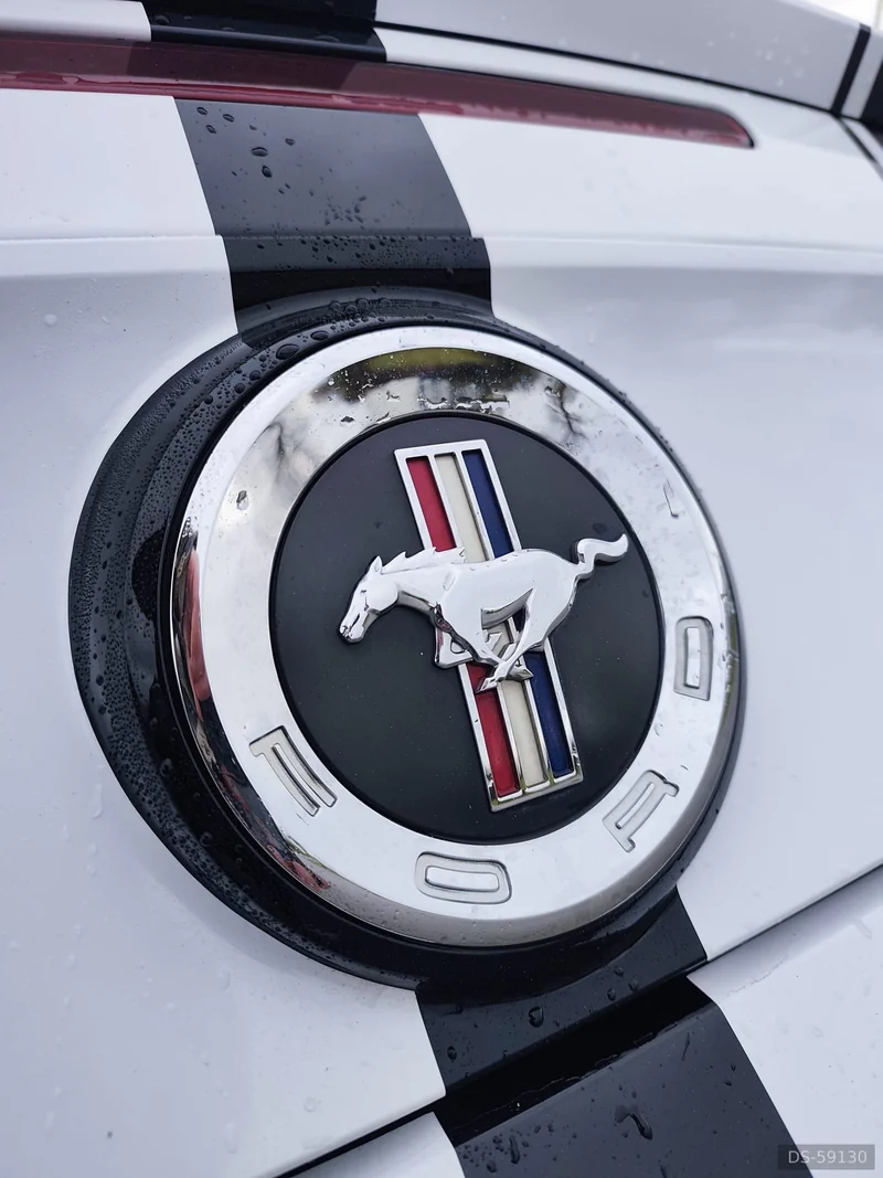 2013 Ford Mustang in Berre L’étang 5