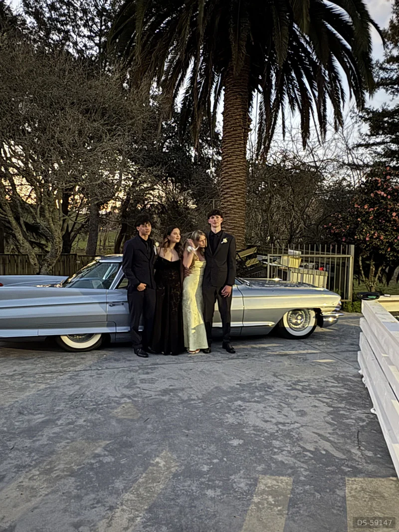 1961 Cadillac Deville in Hamilton 3