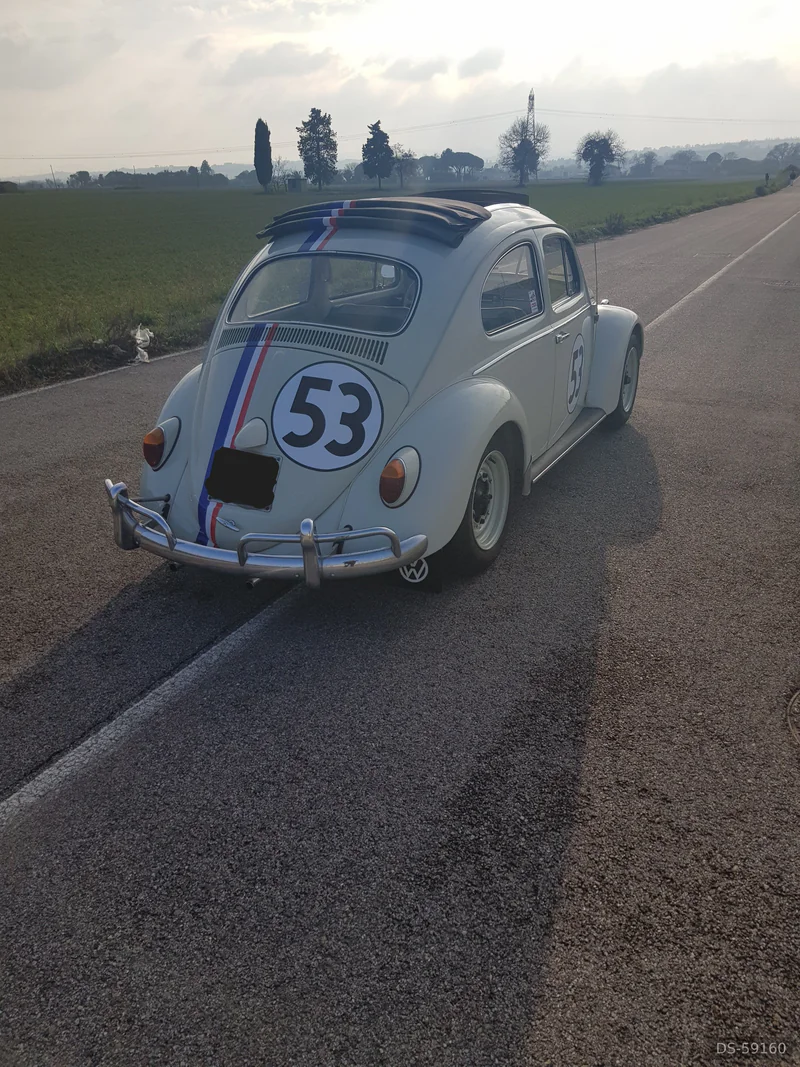 1962 Volkswagen Herbie Maggiolino in Cattolica 1