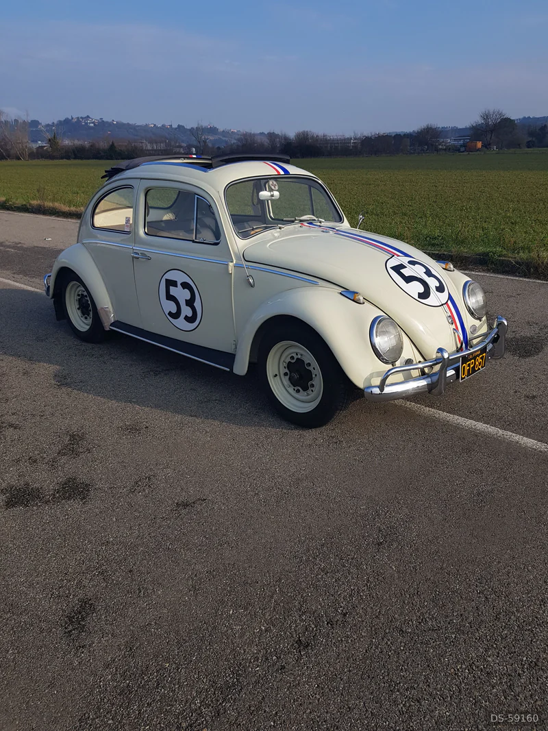 1962 Volkswagen Herbie Maggiolino in Cattolica 3