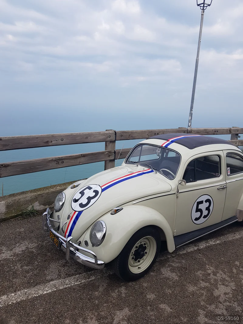 1962 Volkswagen Herbie Maggiolino in Cattolica 4