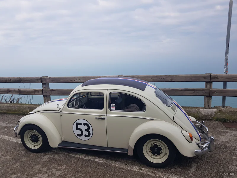 1962 Volkswagen Herbie Maggiolino in Cattolica 5
