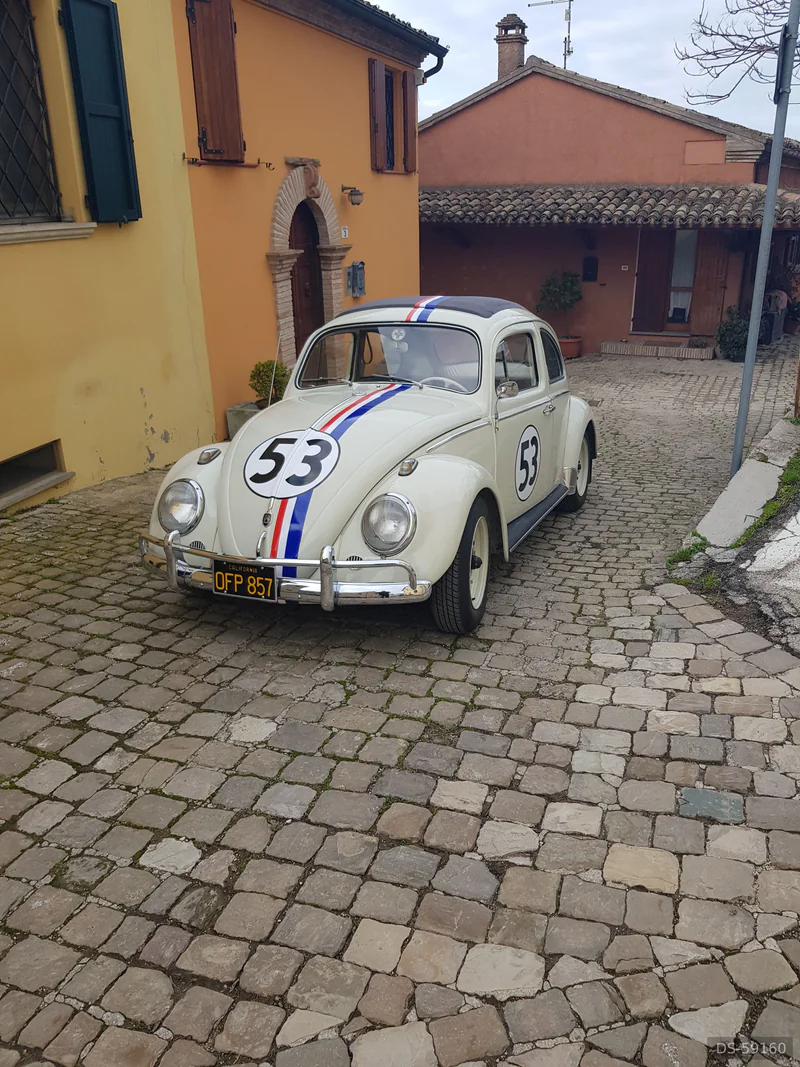 1962 Volkswagen Herbie Maggiolino in Cattolica 6