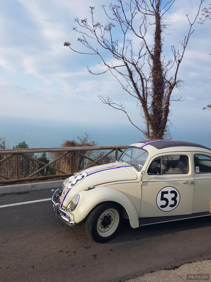 1962 Volkswagen Herbie Maggiolino in Cattolica 7