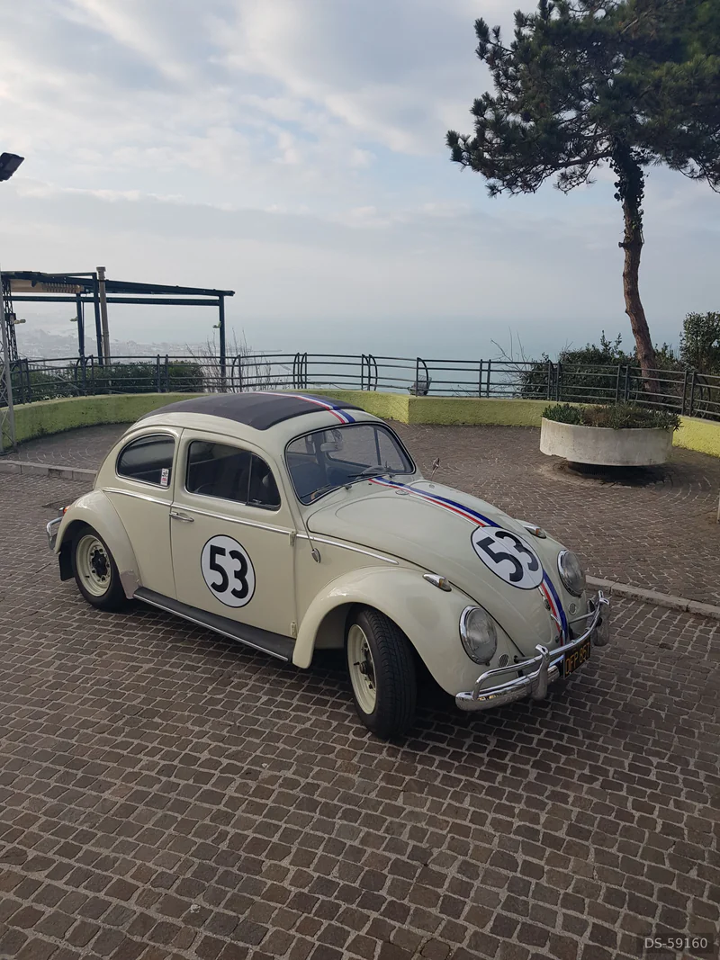 1962 Volkswagen Herbie Maggiolino in Cattolica 8
