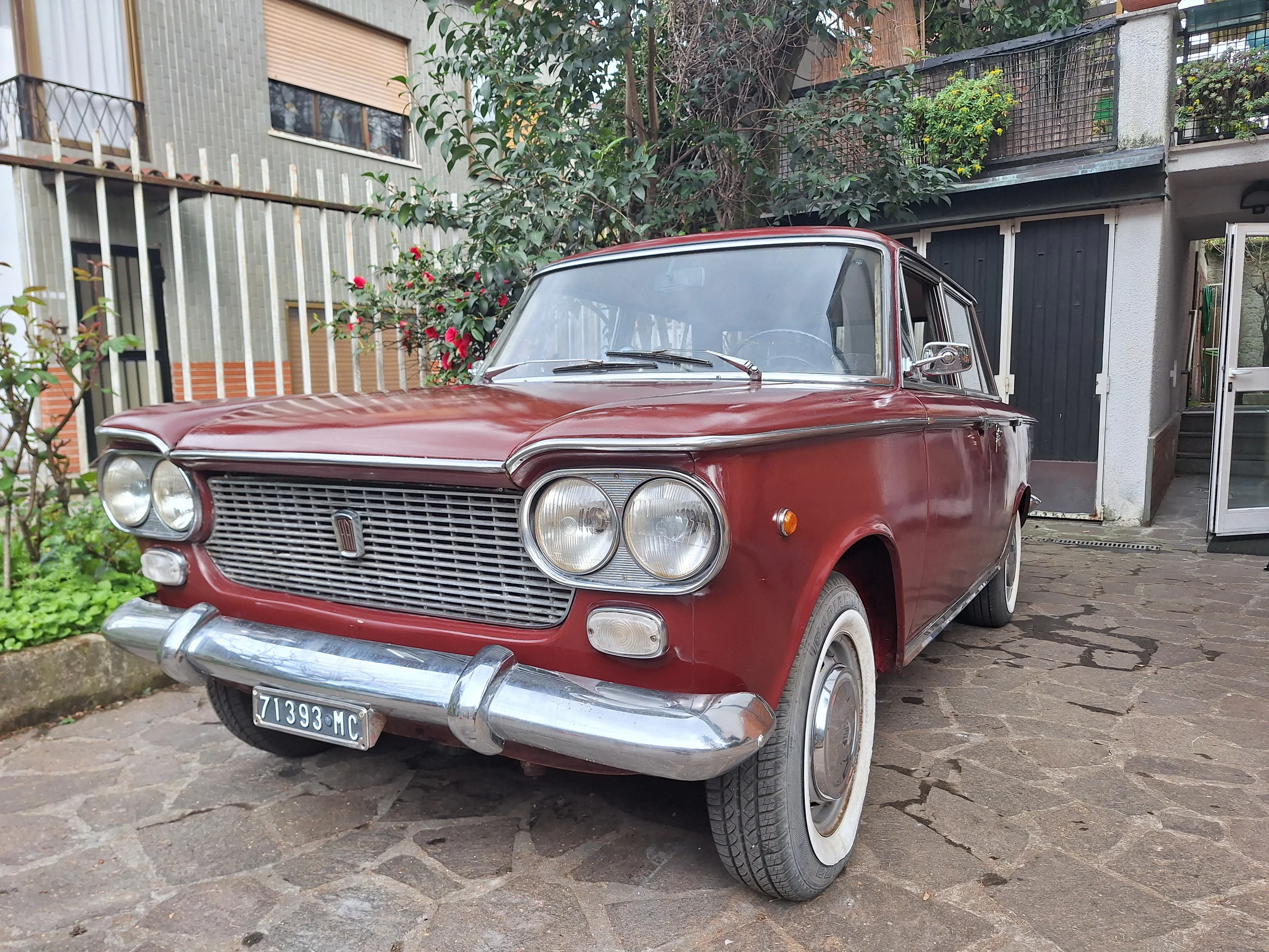 1964 Fiat 1500 Berlina