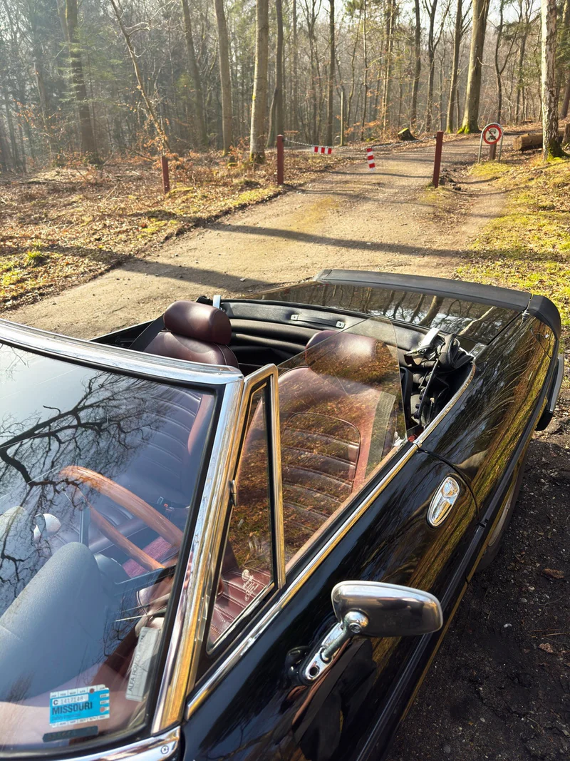 1983 Alfa Romeo Spider in Aarhus 2