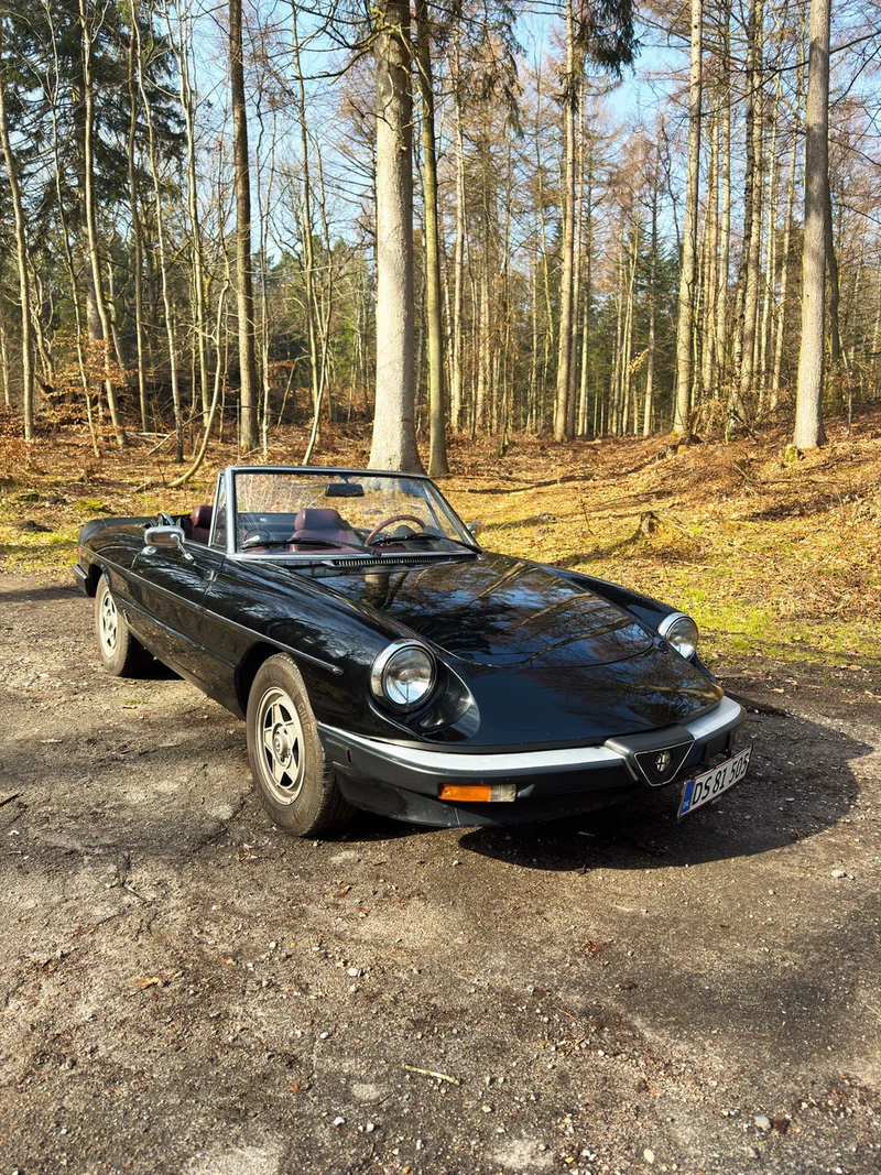 1983 Alfa Romeo Spider in Aarhus 6
