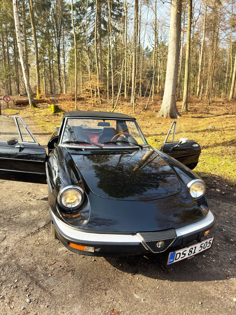 1983 Alfa Romeo Spider in Aarhus 8