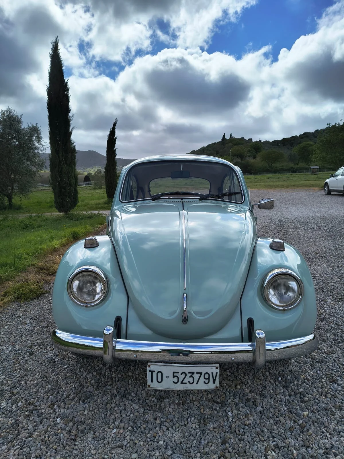 1980 Volkswagen Maggiolone