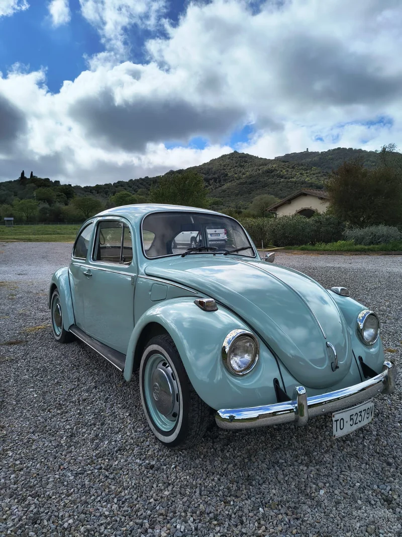 1980 Volkswagen Maggiolone in Ponte Dell'olio 2