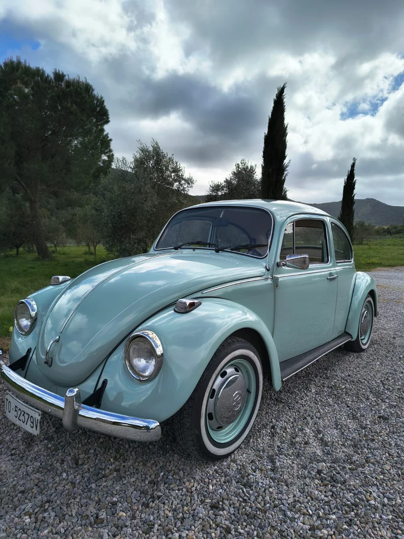 1980 Volkswagen Maggiolone in Ponte Dell'olio 3