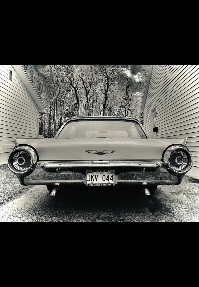 1962 Ford Thunderbird in Moncton 6