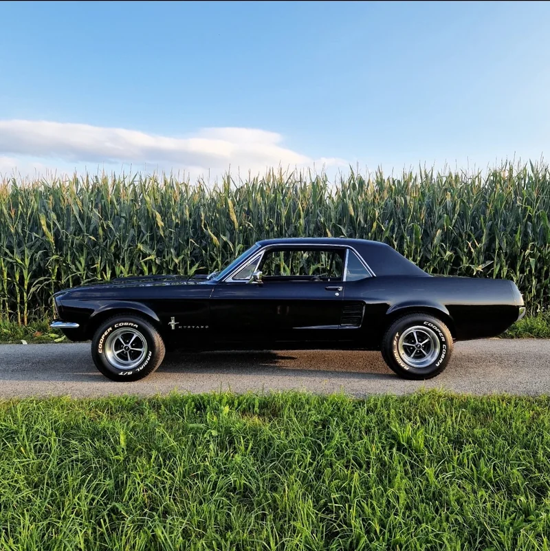 1967 Ford Mustang in Salzburg 3