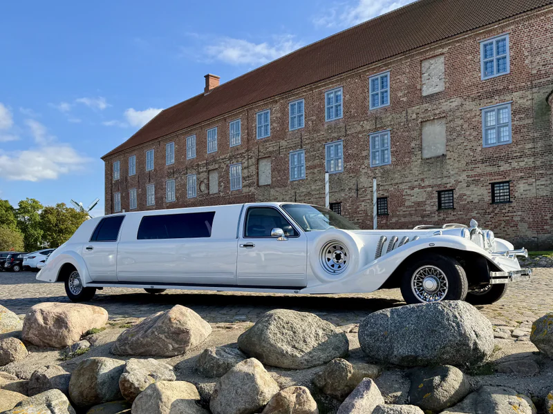 1992 Excalibur Excalibur in Agerskov 2