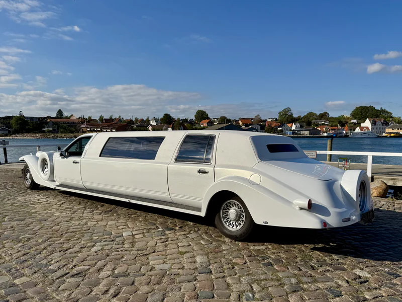 1992 Excalibur Excalibur in Agerskov 3
