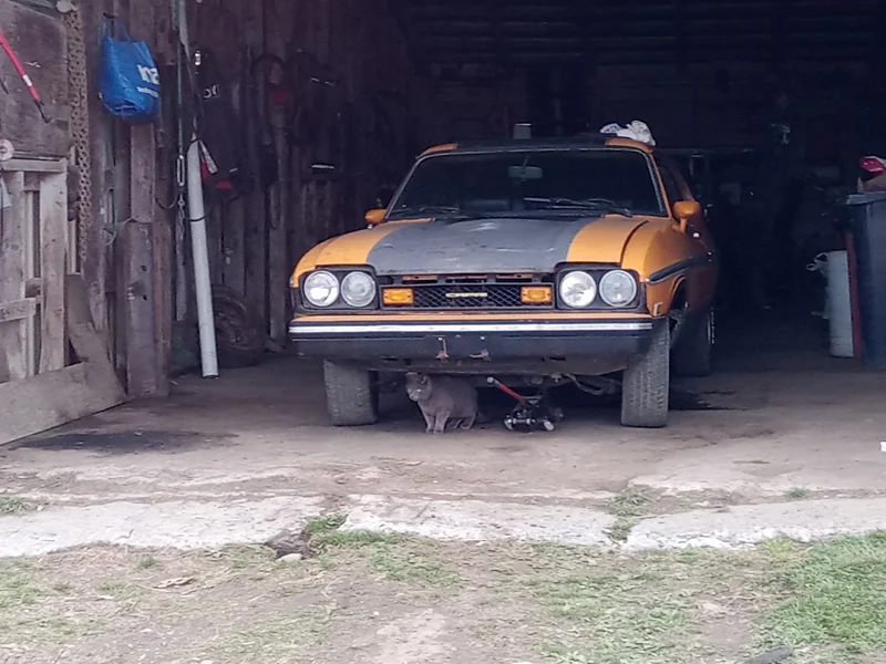1976 Mercury Capri II in Lambton 4