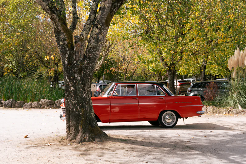 1961 Opel Rekord 1700 4 Portas in Lisbon 4