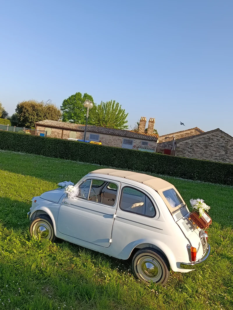 1961 Fiat 500 D cabrio in Montelupone 7