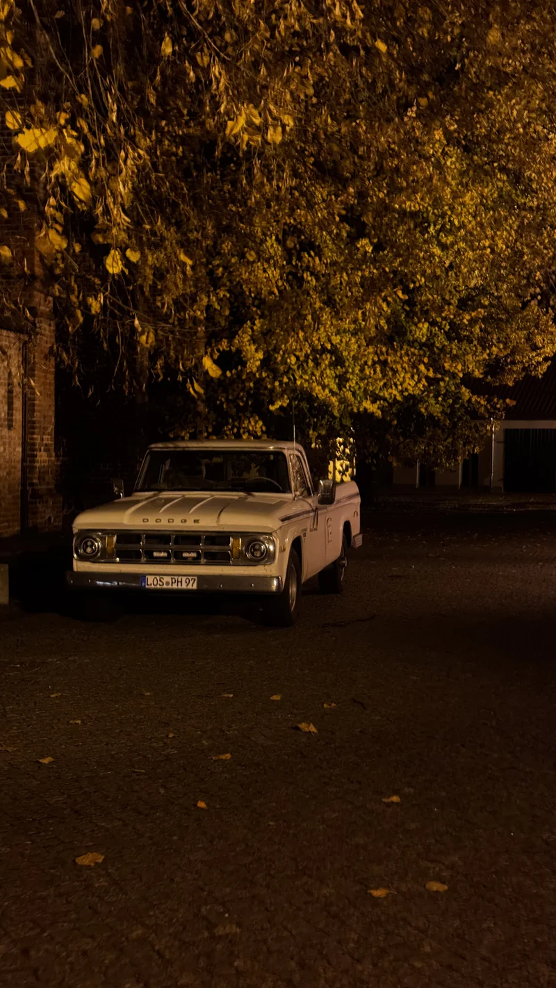 1968 Dodge D200 in Fürstenwalde 8