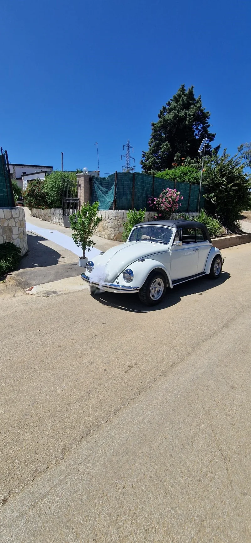 1970 Volkswagen Maggiolino Cabrio in Palermo 6