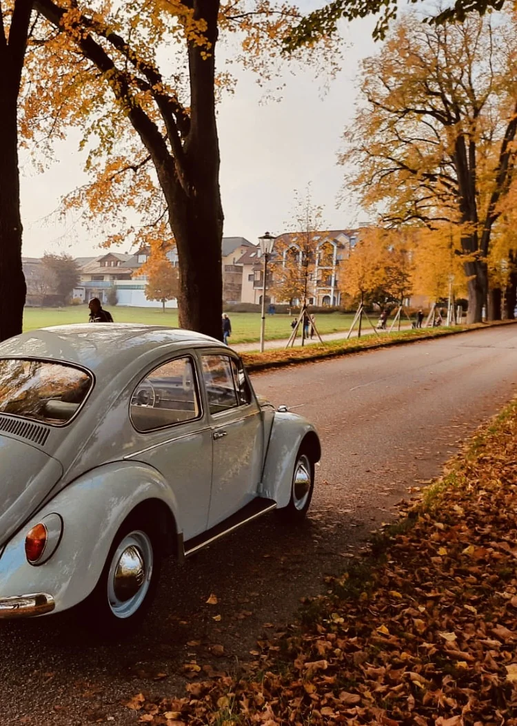 1965 Volkswagen Käfer Type 11 Luxus in Ungenach 2