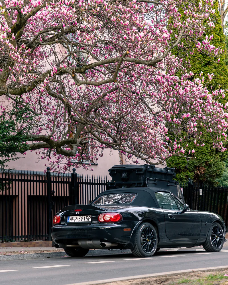 2003 Mazda Mx-5 in Warszawa 4