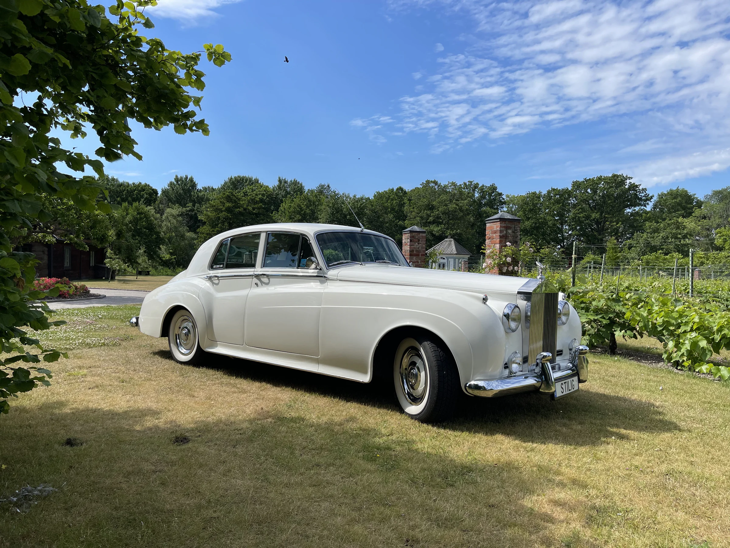 1956 Rolls-Royce Silver Cloud I