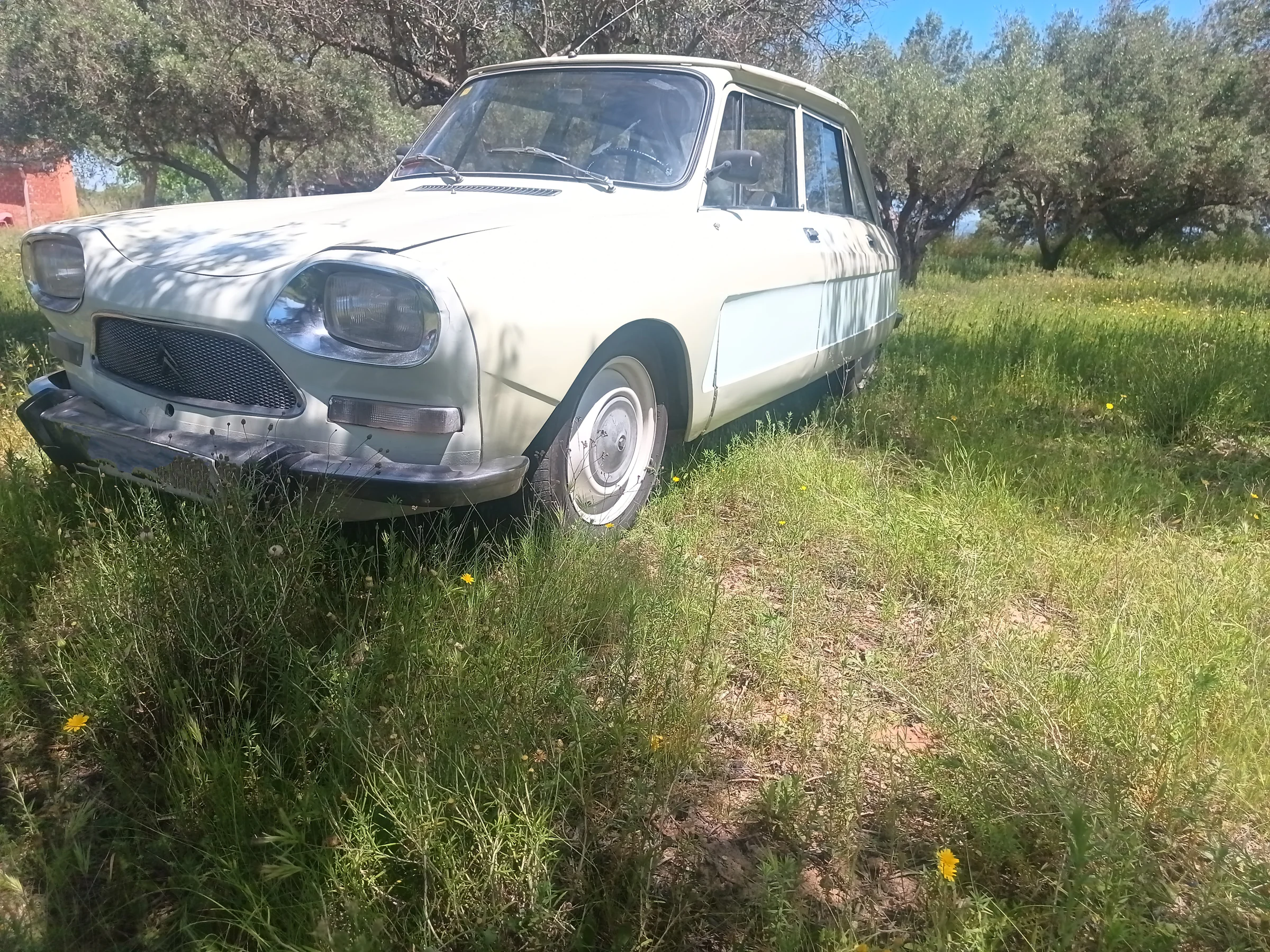 1976 Citroen Ami 8